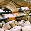 St Croix Triumph Salmon & Steelhead Spinning Rods