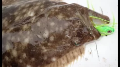 Tsunami Slimwave Casting Rods -Sport Fishing Shop image 563