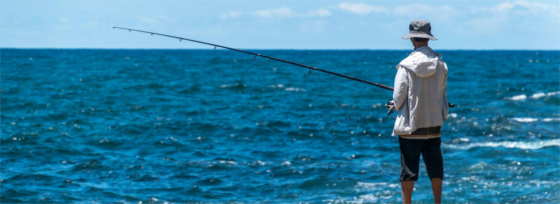 Sport Fishing Shop -Sport Fishing Shop vladimir haltakov CQDutGGkAjk unsplash